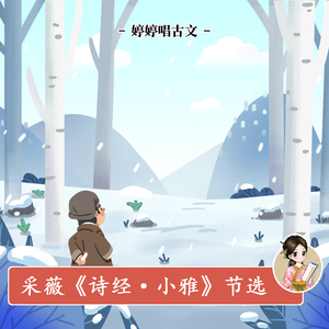 肖文奶奶叫陆红的小说
