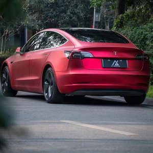 肖文奶奶叫陆红的小说
